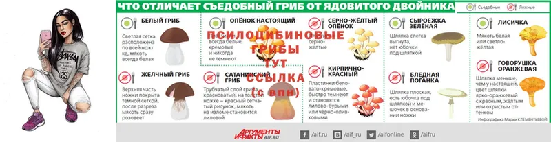 Галлюциногенные грибы ЛСД  цены   Тосно 